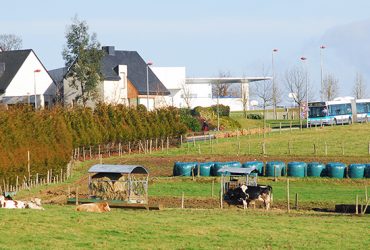 Conférence territoriale de l’action publique